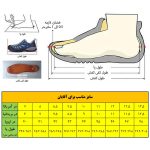 جدول سایزبندی هامتو