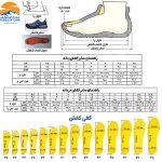 جدول-سایزبندی-کفش-و-صندل-هامتو