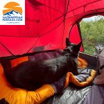 چادر هاسکی Husky مدل فایتر HUSKY Fighter 3-4