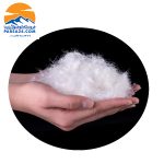 کاپشن پر لایت تاپ کینگدوم Top Kingdom